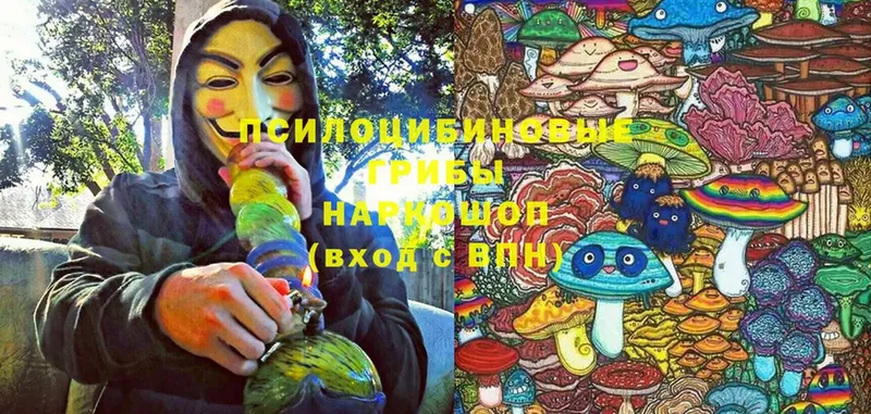 Галлюциногенные грибы Cubensis  Старый Оскол 